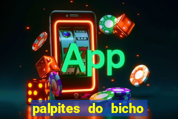 palpites do bicho no celular